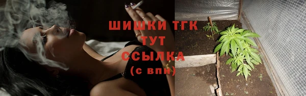 гидра Белокуриха