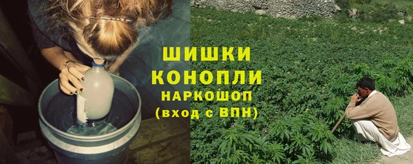 гидра Белокуриха