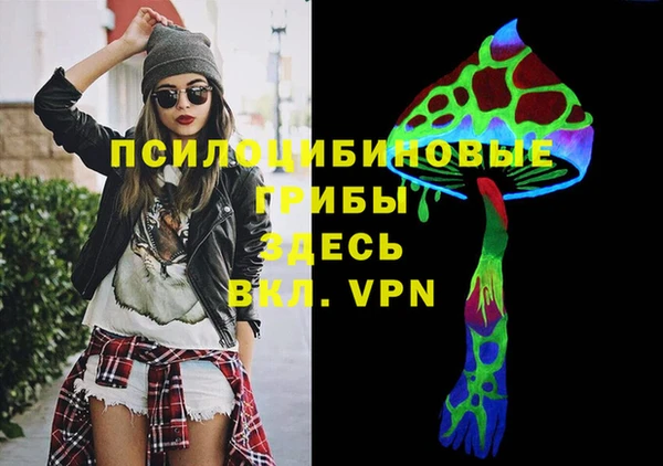 гидра Белокуриха