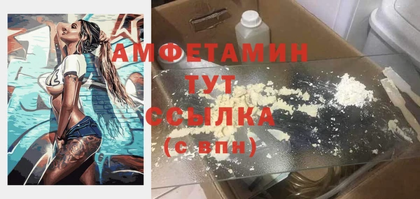 гидра Белокуриха