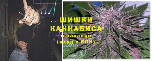 гидра Белокуриха