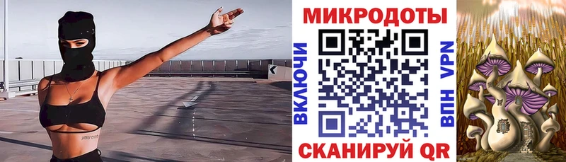Галлюциногенные грибы Psilocybe Верхний Тагил